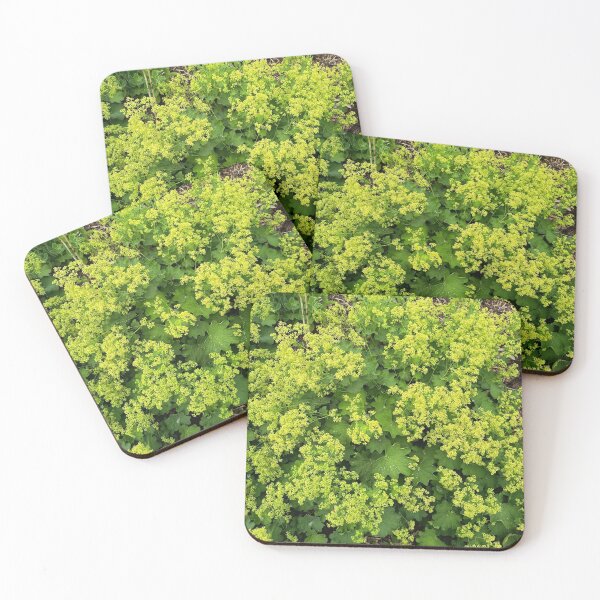 Item preview, Yellow Wildflower Garden Nature Photography designed and sold by PhuongVoArt.
