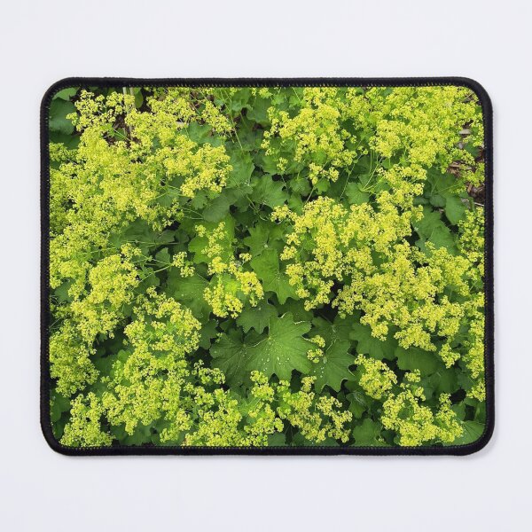 Item preview, Yellow Wildflower Garden Nature Photography designed and sold by PhuongVoArt.