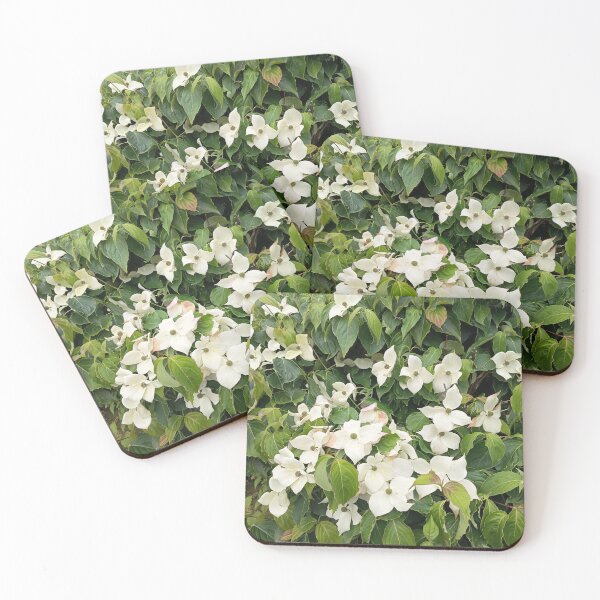 Item preview, White Blossom Garden Nature Photography designed and sold by PhuongVoArt.