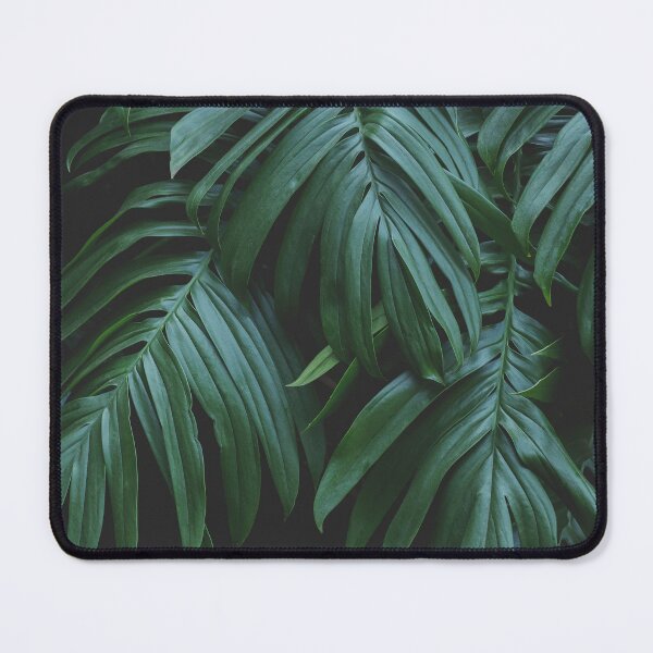 Item preview, Minimalist Monstera Jungle Leaves Photo designed and sold by ReneJordaan.
