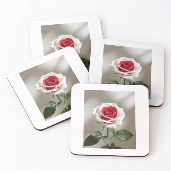 Item preview, Beautiful rose white and red designed and sold by carlsmart1.