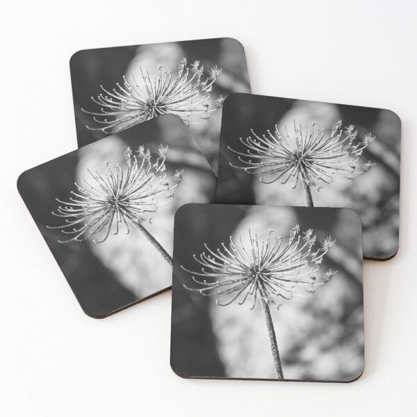 Item preview, Minimal Black And White Close-Up Of Dried Flower Seedhead On Single Stem In Shallow Focus designed and sold by Nmallia.