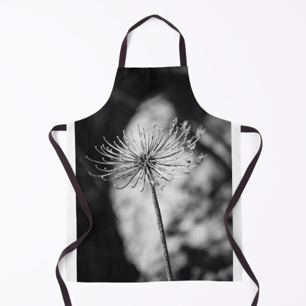 Item preview, Minimal Black And White Close-Up Of Dried Flower Seedhead On Single Stem In Shallow Focus designed and sold by Nmallia.