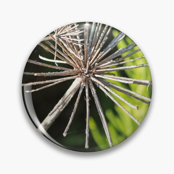 Item preview, Dried Flower Seed Head Macro Photography Of Wildflower Skeleton Against Blurred Green Background designed and sold by Nmallia.