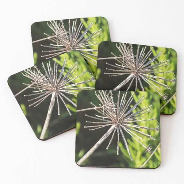 Item preview, Dried Flower Seed Head Macro Photography Of Wildflower Skeleton Against Blurred Green Background designed and sold by Nmallia.