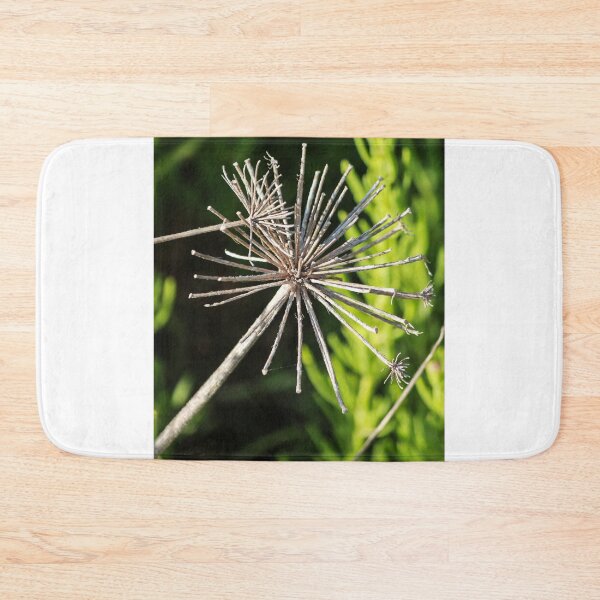 Item preview, Dried Flower Seed Head Macro Photography Of Wildflower Skeleton Against Blurred Green Background designed and sold by Nmallia.