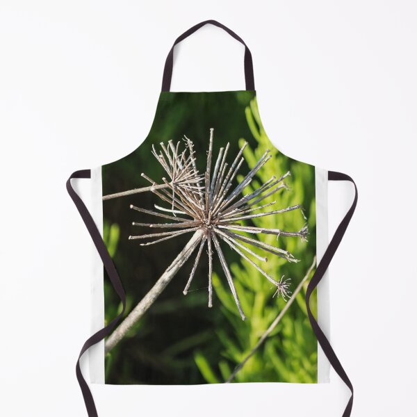 Item preview, Dried Flower Seed Head Macro Photography Of Wildflower Skeleton Against Blurred Green Background designed and sold by Nmallia.