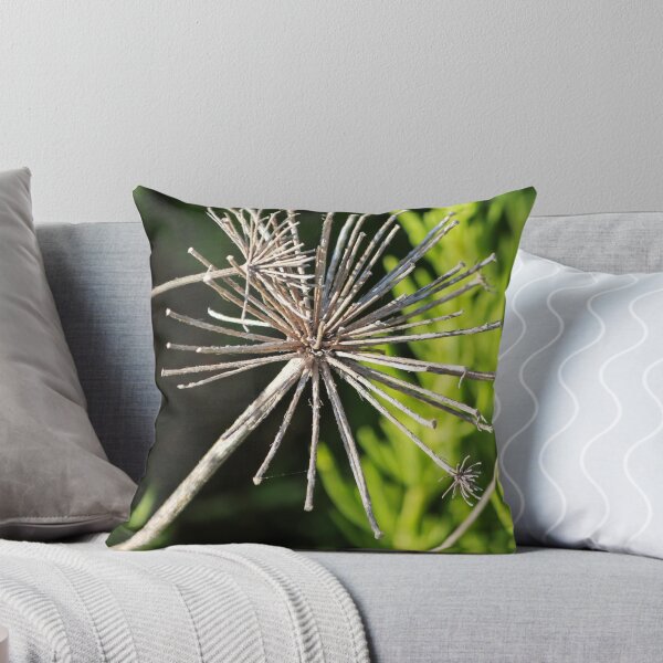Item preview, Dried Flower Seed Head Macro Photography Of Wildflower Skeleton Against Blurred Green Background designed and sold by Nmallia.