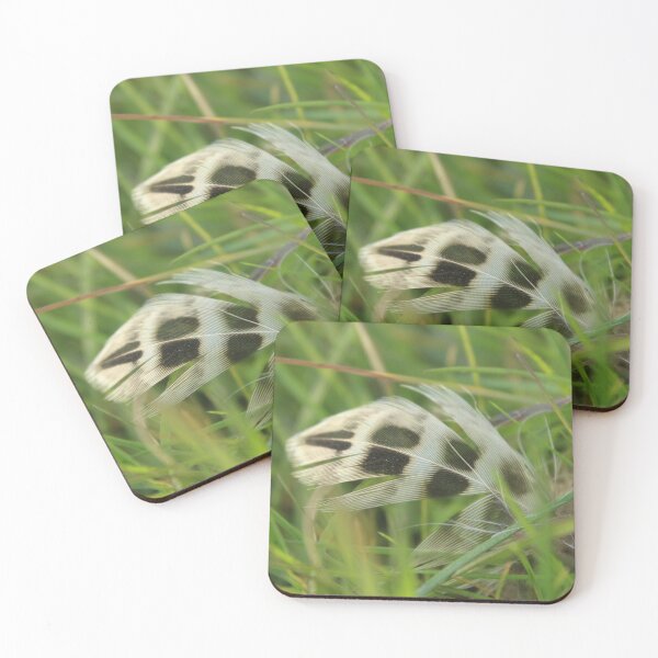 Item preview, Lost Feather in a field - Soft nature photography designed and sold by Cha-s-lens.