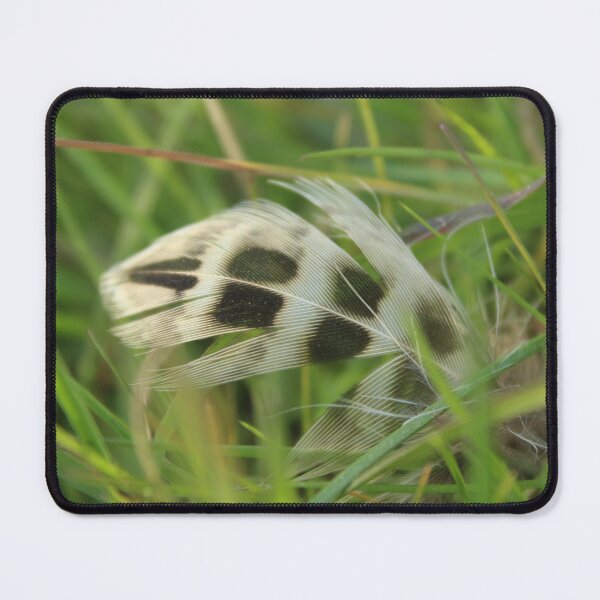 Item preview, Lost Feather in a field - Soft nature photography designed and sold by Cha-s-lens.