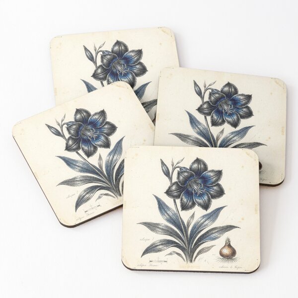 Item preview, Midnight Herbarium II – Eclipse Lily designed and sold by Roberta Calabrese.
