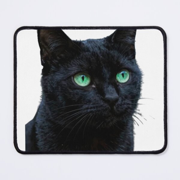 Item preview, Mystical Black Cat | Moon Witch Familiar designed and sold by AeraArts.