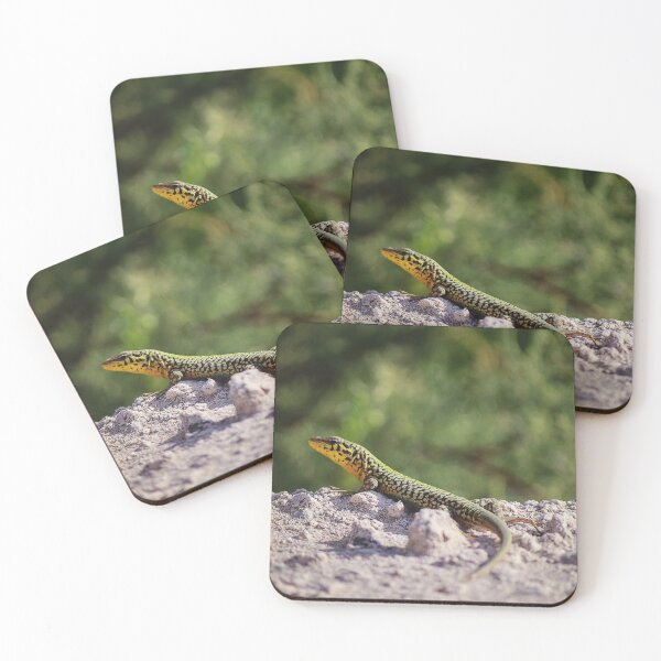 Item preview, Green And Yellow Patterned Lizard Resting On Sandy Rock In Sunny Natural Habitat designed and sold by Nmallia.