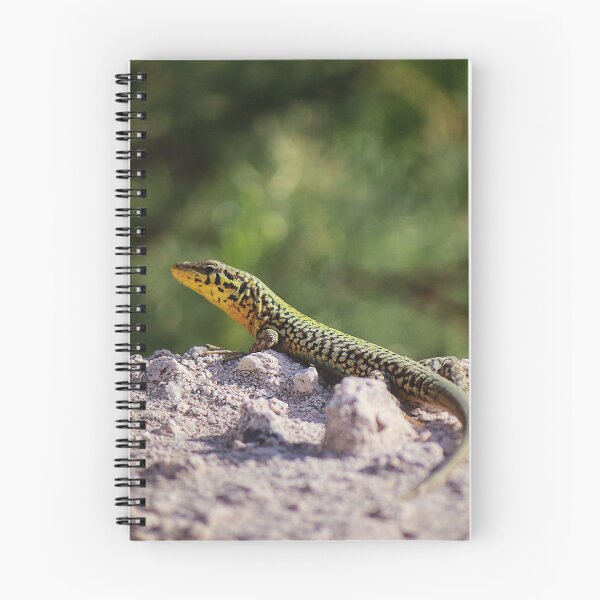 Item preview, Green And Yellow Patterned Lizard Resting On Sandy Rock In Sunny Natural Habitat designed and sold by Nmallia.