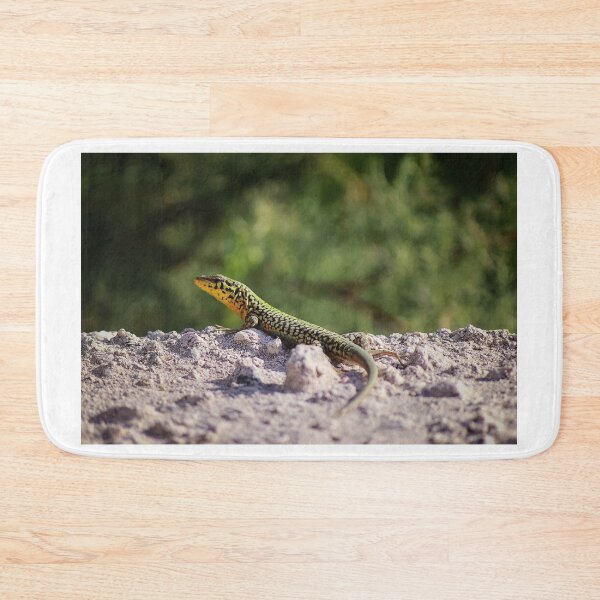 Item preview, Green And Yellow Patterned Lizard Resting On Sandy Rock In Sunny Natural Habitat designed and sold by Nmallia.