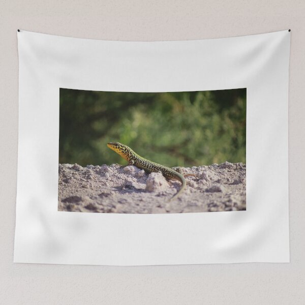 Item preview, Green And Yellow Patterned Lizard Resting On Sandy Rock In Sunny Natural Habitat designed and sold by Nmallia.
