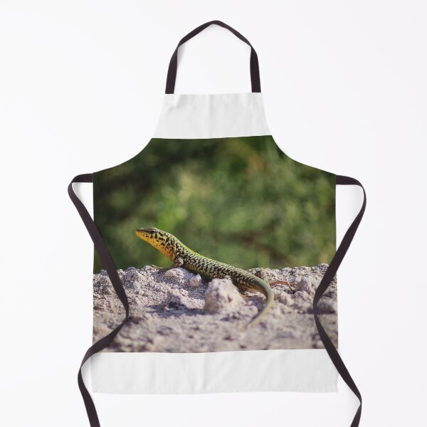 Item preview, Green And Yellow Patterned Lizard Resting On Sandy Rock In Sunny Natural Habitat designed and sold by Nmallia.