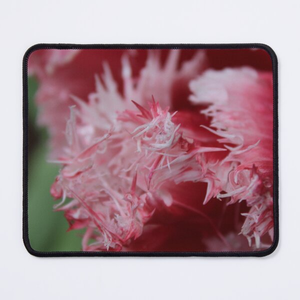 Item preview, Textured Tulip Close-Up - Soft nature photography designed and sold by Cha-s-lens.