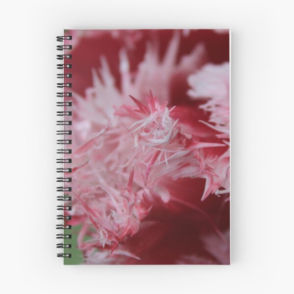 Item preview, Textured Tulip Close-Up - Soft nature photography designed and sold by Cha-s-lens.