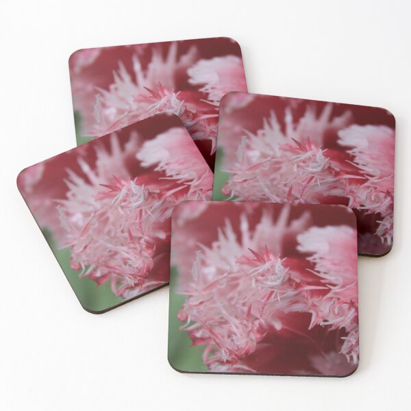 Item preview, Textured Tulip Close-Up - Soft nature photography designed and sold by Cha-s-lens.