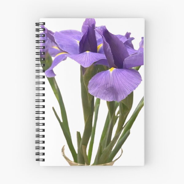 Aperçu de l'œuvre Bouquet d'iris violet royal avec découpe de longues tiges créée et vendue par BalkanBloom.