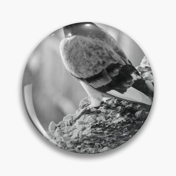 Item preview, Black and White Pigeon Perched on Rocky Ledge With Blurred Urban Background and Texture designed and sold by Nmallia.