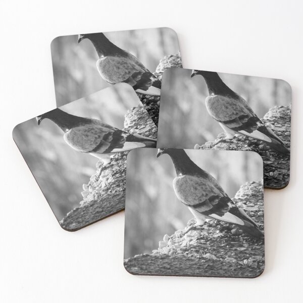 Item preview, Black and White Pigeon Perched on Rocky Ledge With Blurred Urban Background and Texture designed and sold by Nmallia.