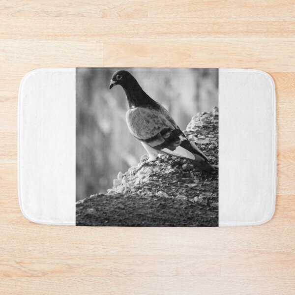 Item preview, Black and White Pigeon Perched on Rocky Ledge With Blurred Urban Background and Texture designed and sold by Nmallia.