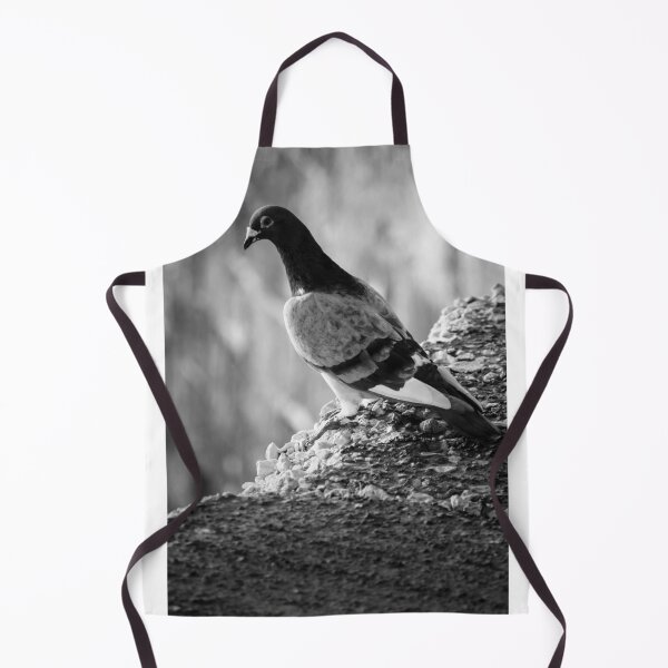 Item preview, Black and White Pigeon Perched on Rocky Ledge With Blurred Urban Background and Texture designed and sold by Nmallia.