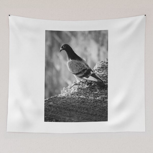 Item preview, Black and White Pigeon Perched on Rocky Ledge With Blurred Urban Background and Texture designed and sold by Nmallia.
