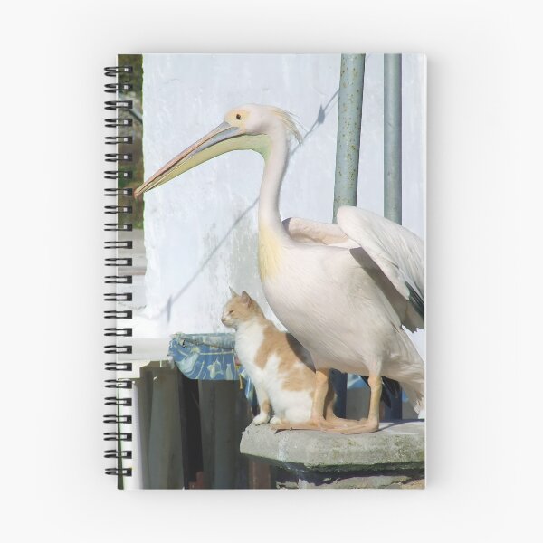 Item preview, Greek Pelican and Cat - Best Friends designed and sold by aeolia.