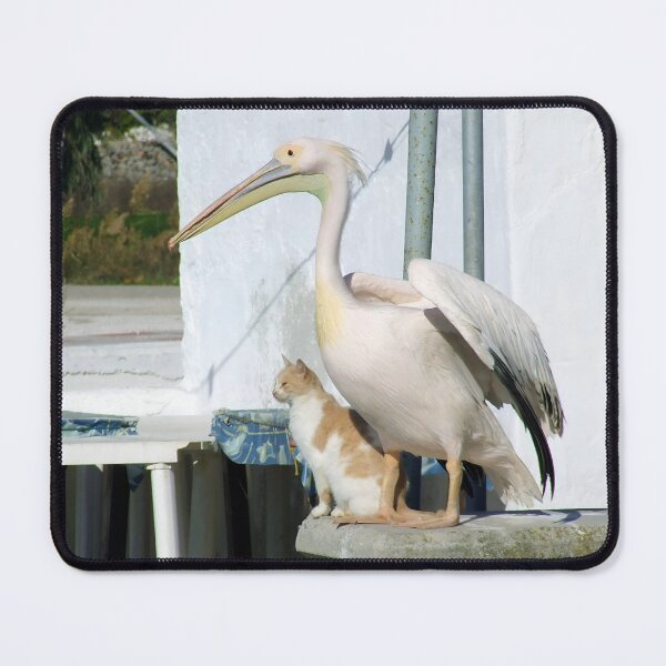 Item preview, Greek Pelican and Cat - Best Friends designed and sold by aeolia.