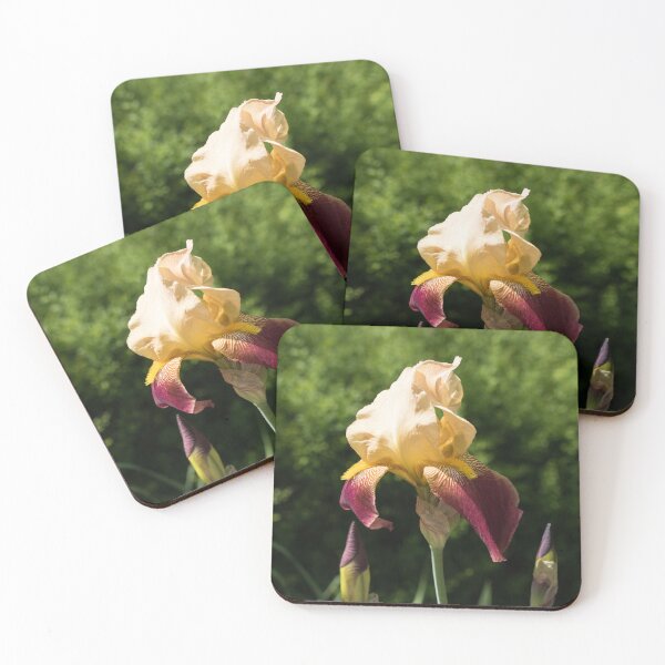 Item preview, Cream and Violet Iris Flower with Tiger Striped Petals designed and sold by Georgia Mizuleva.