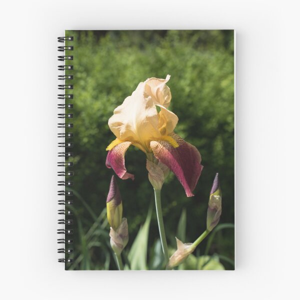 Item preview, Cream and Violet Iris Flower with Tiger Striped Petals designed and sold by Georgia Mizuleva.