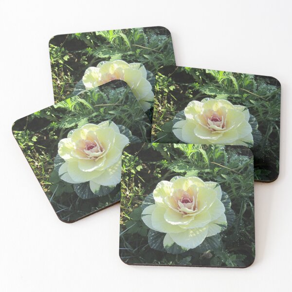 Item preview, Cabbage Rose designed and sold by Alexander Krishchyunas.