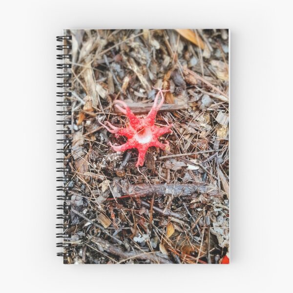 Item preview, Aseroe rubra also known as the Starfish Fungus or Anemone Stinkhorn  designed and sold by HPrespective.