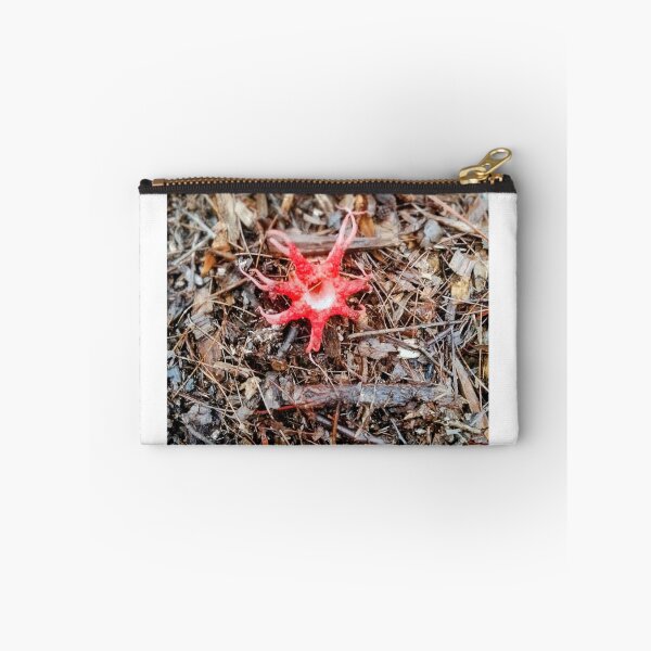 Item preview, Aseroe rubra also known as the Starfish Fungus or Anemone Stinkhorn  designed and sold by HPrespective.