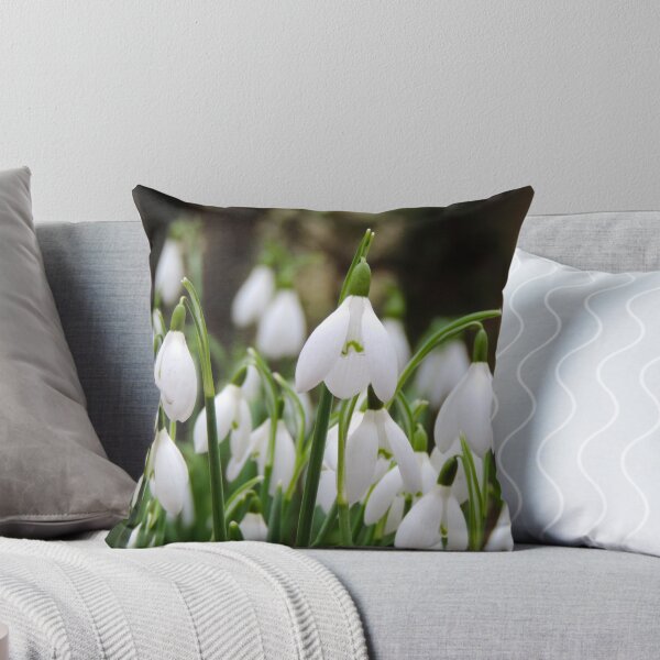Item preview, Snowdrops at Rococo Gardens, Painswick, Glos designed and sold by Tizz07.