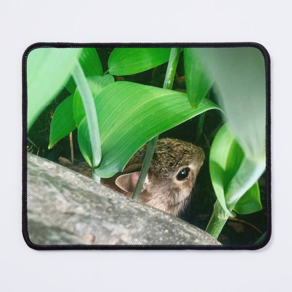 Item preview, Baby Rabbit designed and sold by Alexander Krishchyunas.