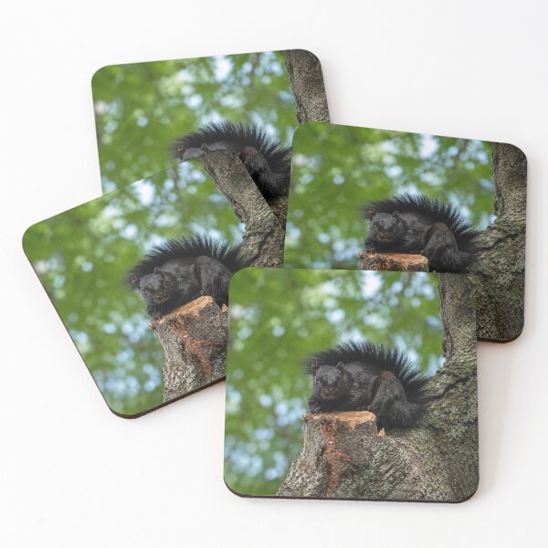 Item preview, Black Squirrel Forest Lookout designed and sold by AutumnLeAnnDesigns.