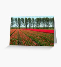 Tulip Landscape Greeting Card