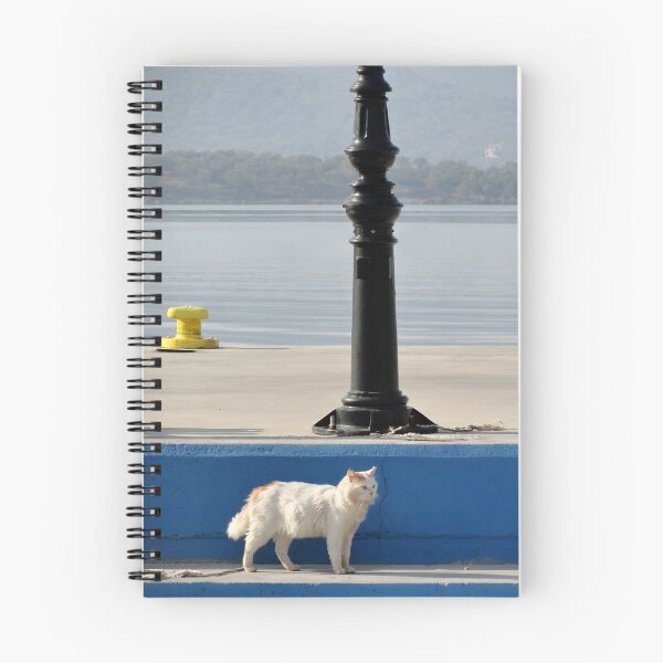 Item preview, Fluffy white cat on a blue quay at a Greek island harbor designed and sold by aeolia.