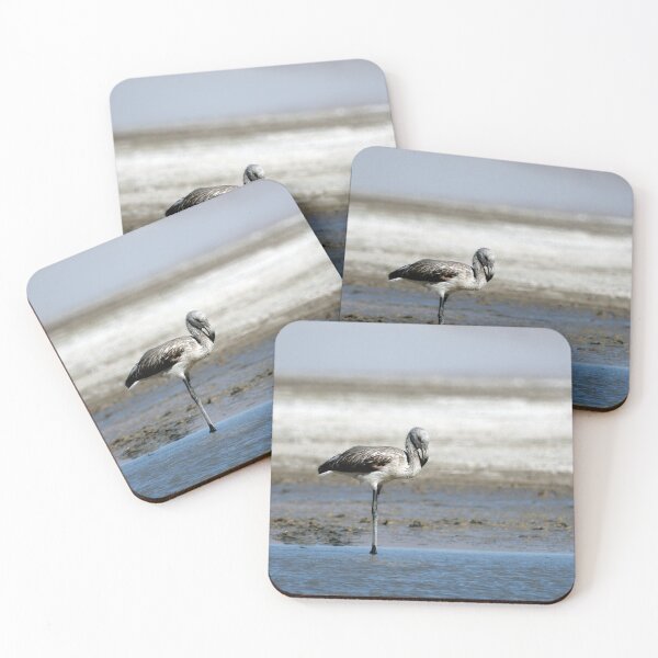 Item preview, Juvenile Flamingo Laguna Blanca – Nature Photo Argentina Puna Catamarca Andes designed and sold by Keltoi-art.
