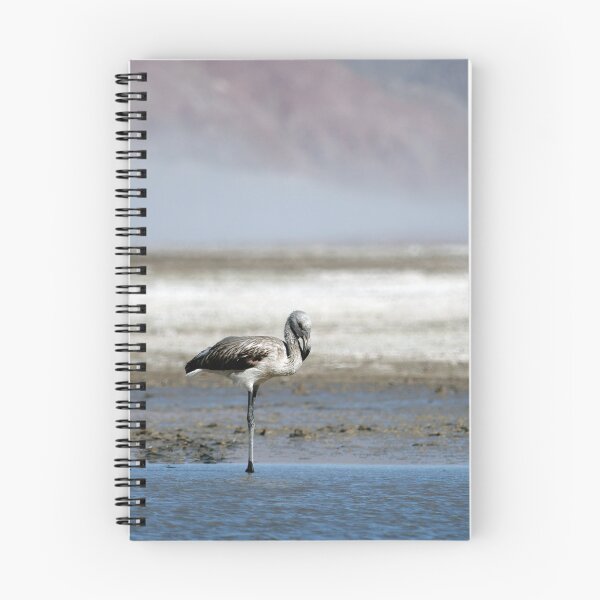 Item preview, Juvenile Flamingo Laguna Blanca – Nature Photo Argentina Puna Catamarca Andes designed and sold by Keltoi-art.