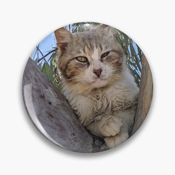 Item preview, Judgmental Cat with Crossed Paws in a Eucalyptus Tree designed and sold by aeolia.