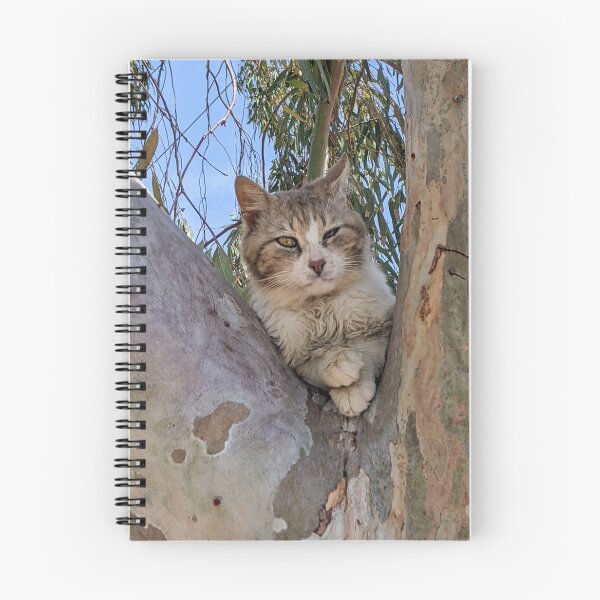 Item preview, Judgmental Cat with Crossed Paws in a Eucalyptus Tree designed and sold by aeolia.
