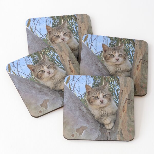 Item preview, Judgmental Cat with Crossed Paws in a Eucalyptus Tree designed and sold by aeolia.