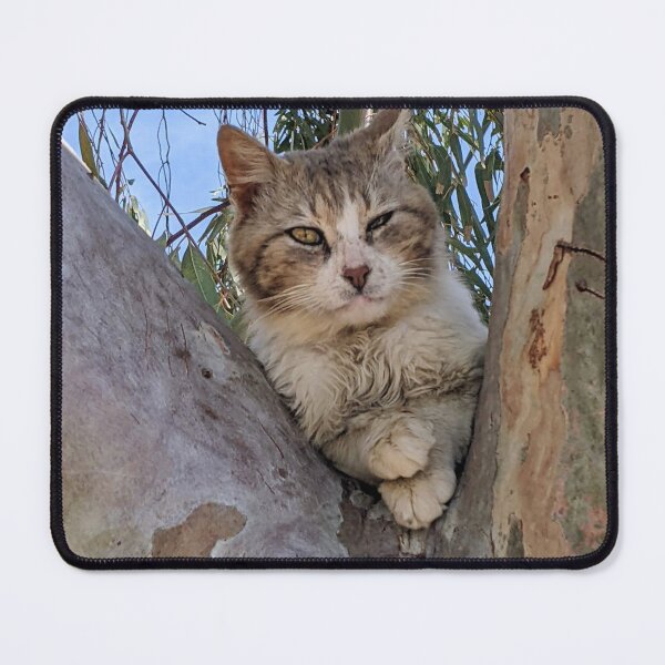 Item preview, Judgmental Cat with Crossed Paws in a Eucalyptus Tree designed and sold by aeolia.