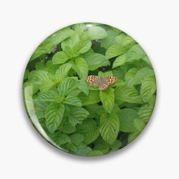 Item preview, Mint with butterfly designed and sold by Farbfroh.