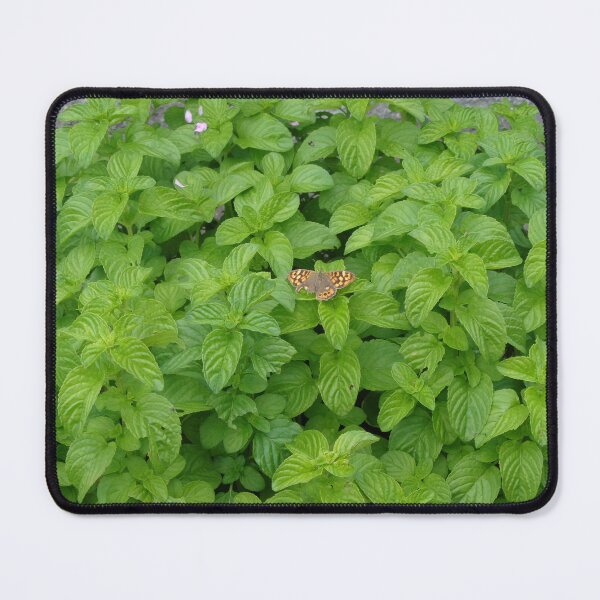 Item preview, Mint with butterfly designed and sold by Farbfroh.